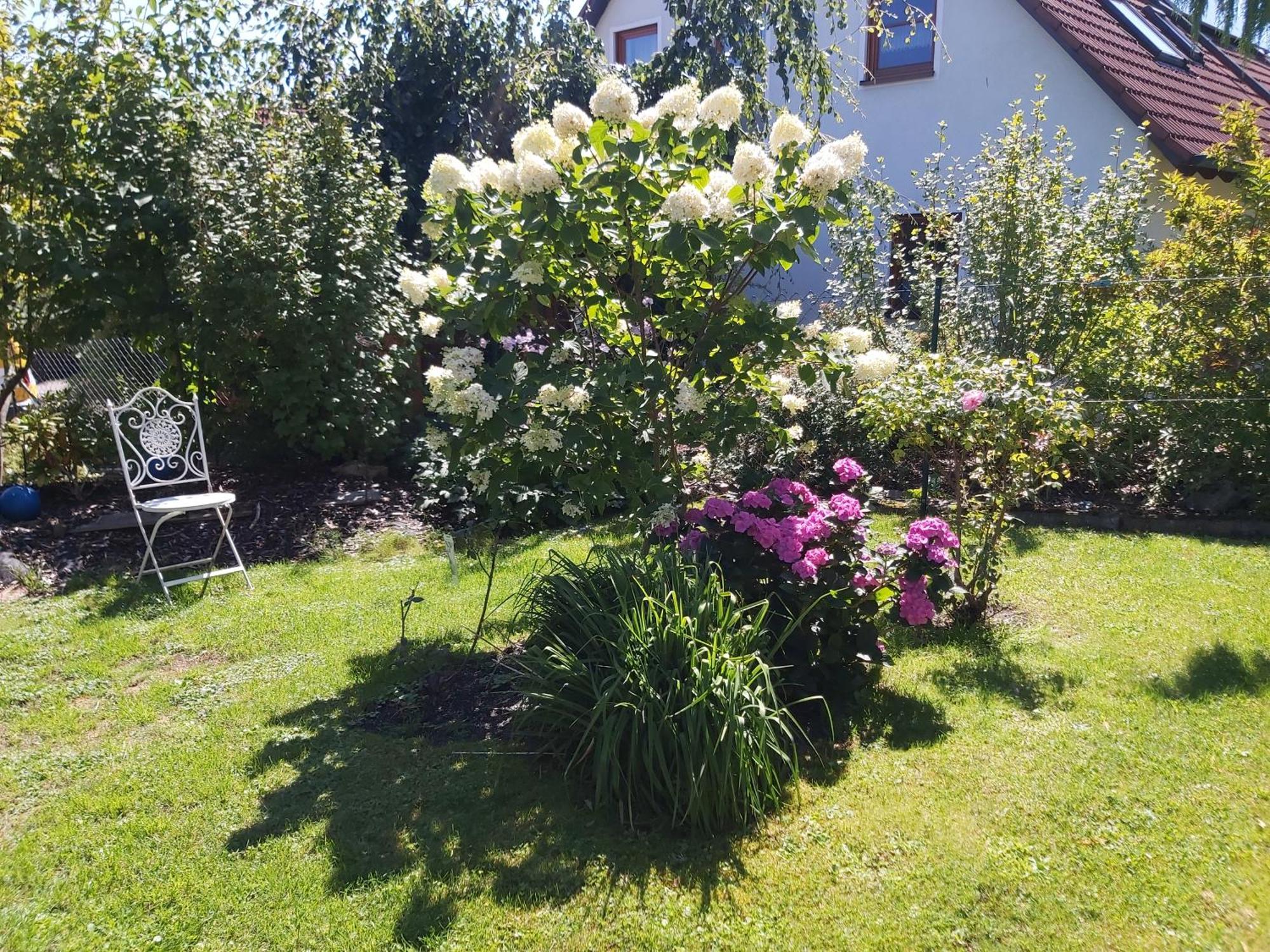 Waldwinkel Apartment Treuchtlingen Exterior foto